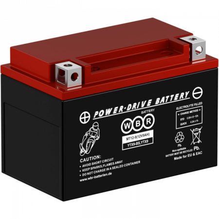 Аккумулятор 6МТС-9 WBR МТ12-9 (YTX9-BS)