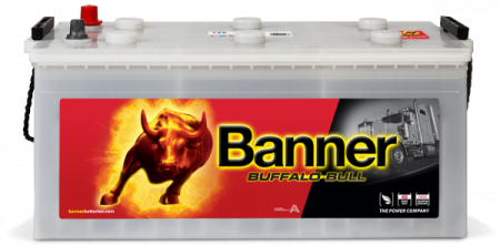 Аккумулятор 6СТ-225 «Banner Buffalo Bull HD (725 11)» евро